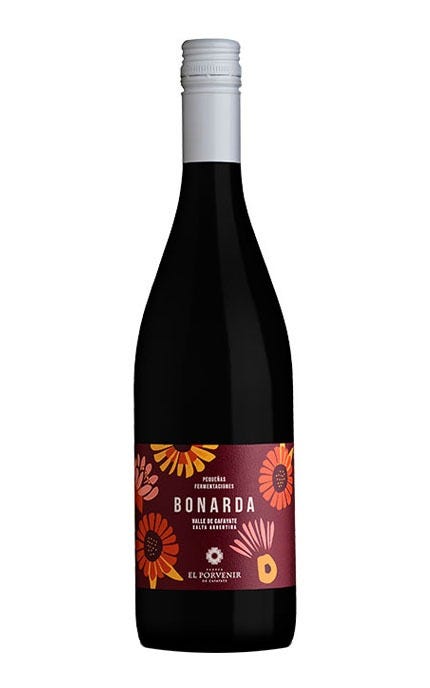 Bodega El Porvenir de Cafayate Bonarda Small Fermentation 750 mL