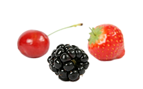 Black Fruit and Berries