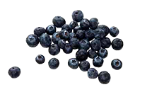 Blueberry