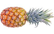 Pineapple