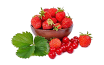 Red Fruit and Berries