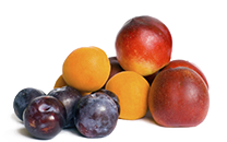 Stone Fruits